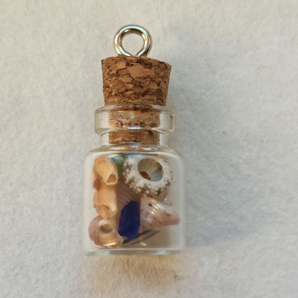 Wish bottle with mini shells inside 