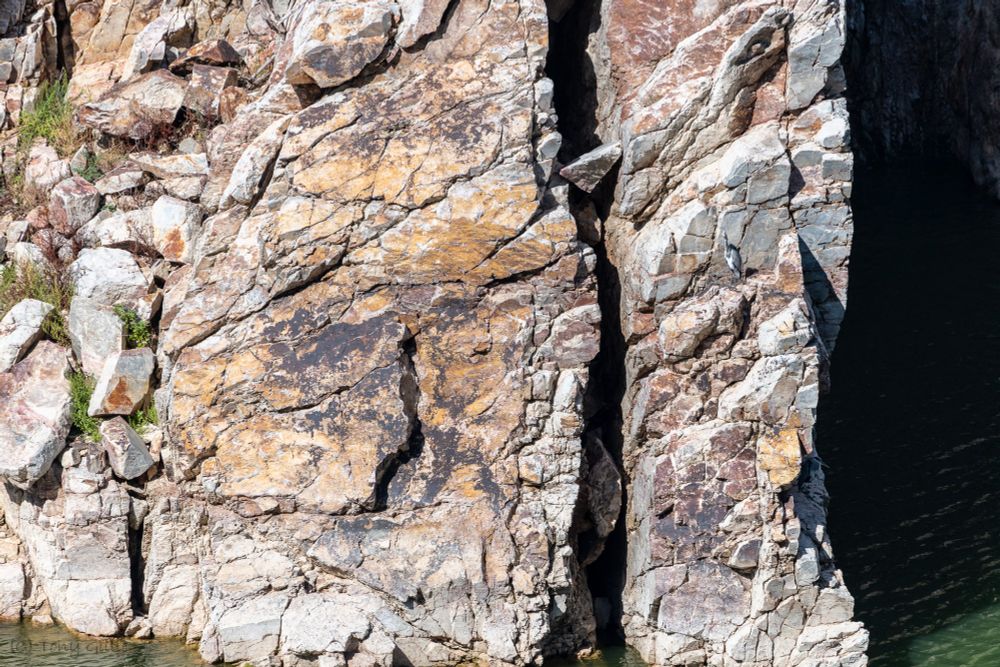 The photo is filled with a mostly sheer rock face, with a deep fissure just right of centre, and a black void at the extreme right. There's some vegetation growing especially at the left, and dark green water is just visible at the bottom. Somewhere perched on the rock face is a Grey Heron, looking very small by comparison.