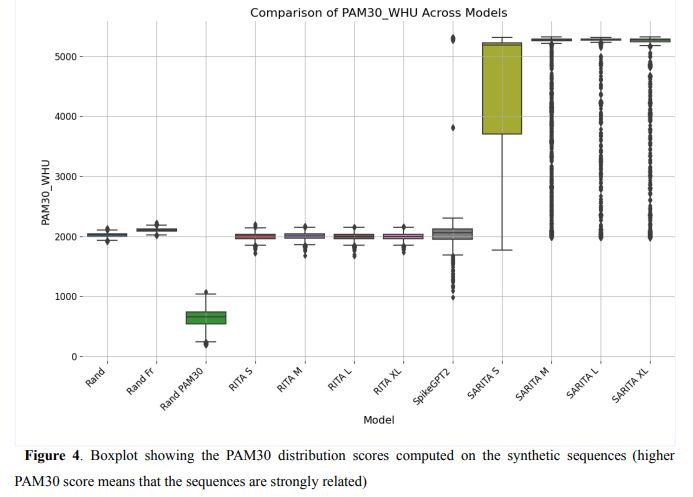 Boxplot showing the PAM30 distribution scores computed on the synthetic sequences (higher PAM30 score means that the sequences are strongly related). SARITA models outperform the others.