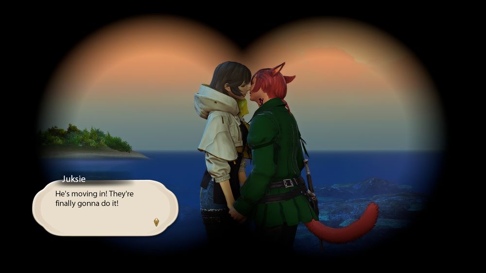 The same view, now observed through binoculars.

Juksie: "He's moving in! They're finally gonna do it!"