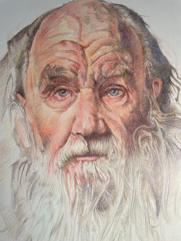 Close up of old man portrait drawing in coloured pencil