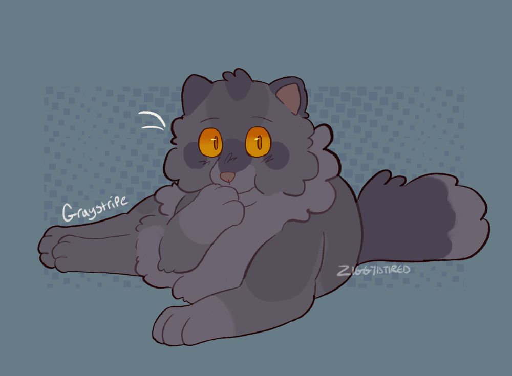 fluffy gray cat laying down with one paw covering his mouth with his full of food staring with big yellow-orange eyes