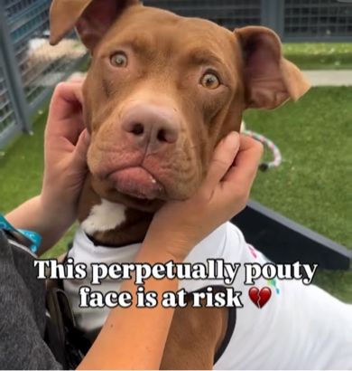 Post image (had no alt text on Bluesky)