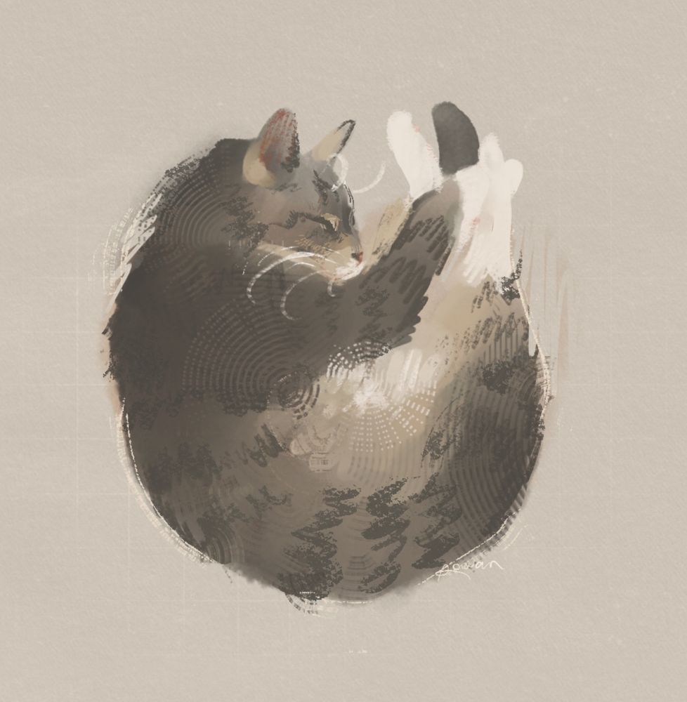 somewhat messy drawing of a sleeping grey and white tabby cat in a round position