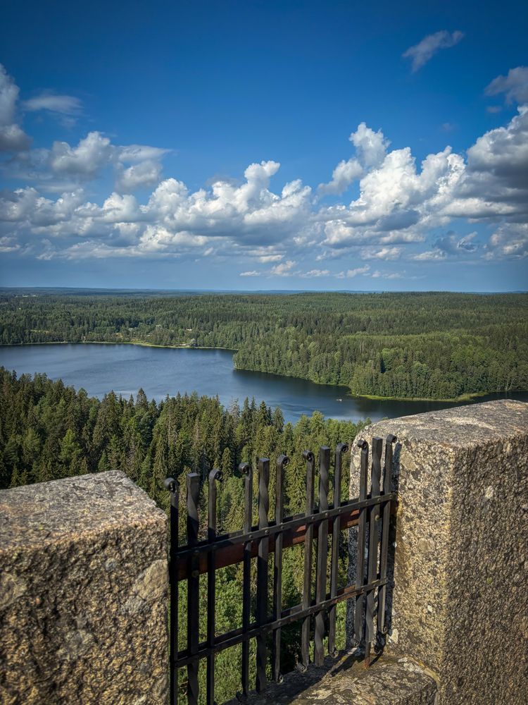 View from a tower on lakes and a forests
