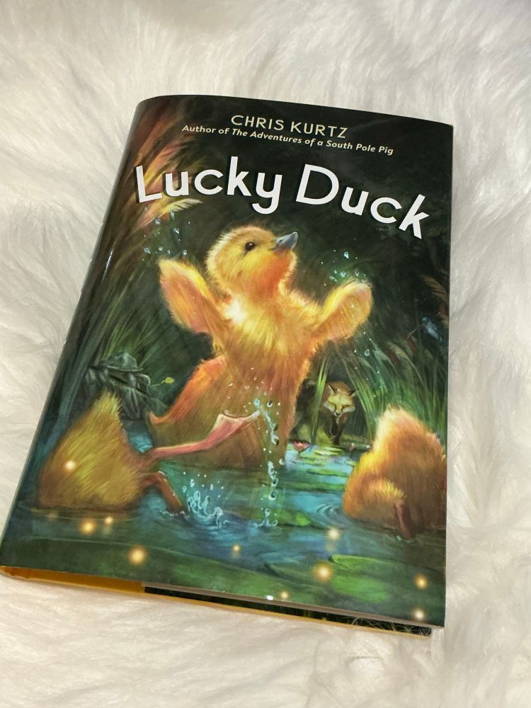 A family of water fowl having fun on the cover with 3 hidden-ish animals and a fox.