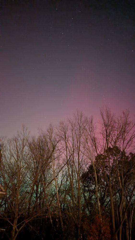 Softer blending of Aurora borealis pink and purple on top of green with dark blue black sky and stars above it.