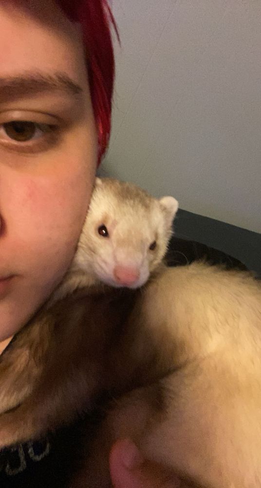 akio laying on me with his head pressed against my cheek