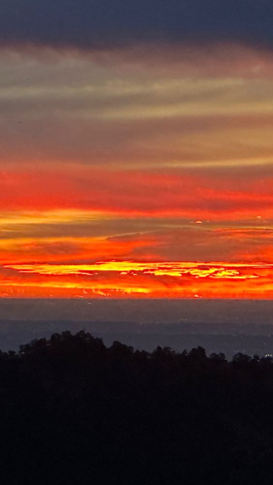 the sky looks like fire with yellow and orange and red. but really, it looks more like fire than sunrises usually do. for real.