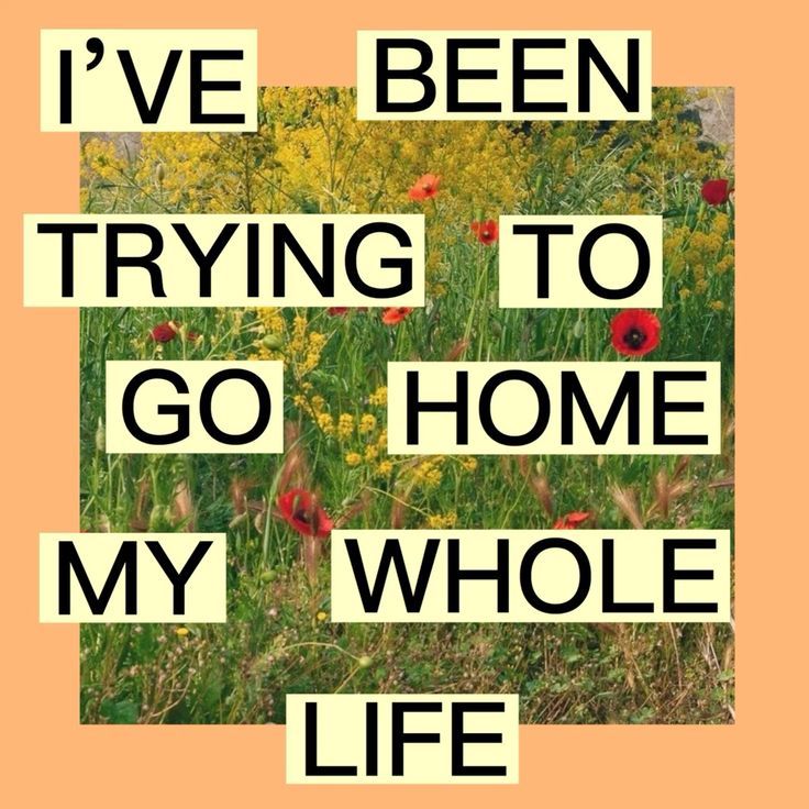 A simple collage with text. The background is a solid peachy color with a photo of wildflowers in the center. There is large black text on off-white rectangles that reads "I'VE BEEN TRYING TO GO HOME MY WHOLE LIFE"