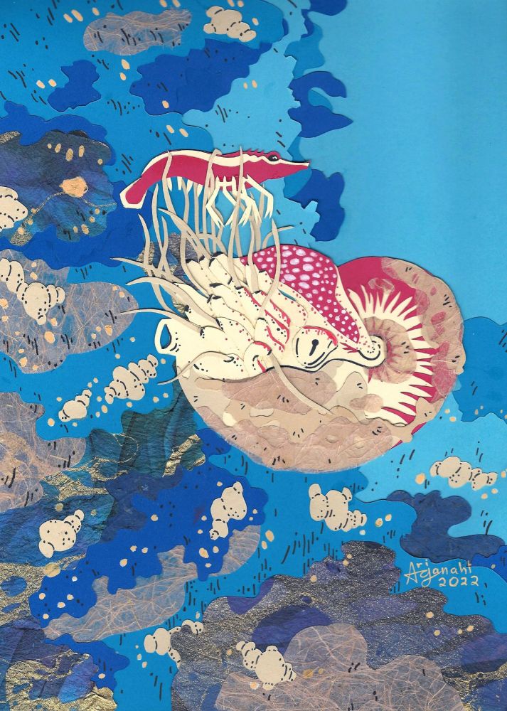 Fuzzy nautilus