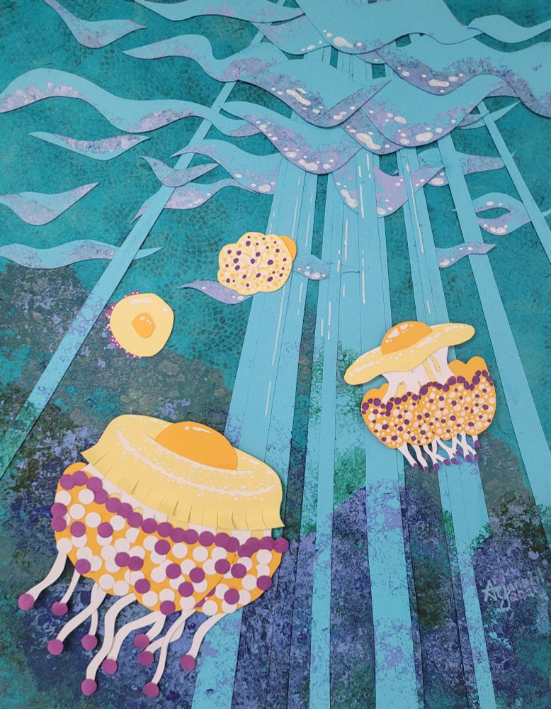Fried Egg Jellyfish