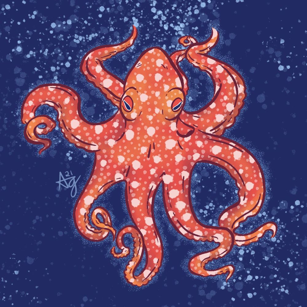 Starry Night Octopus