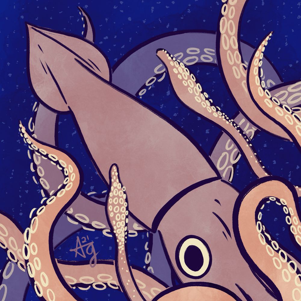 Illustration of a giant squid. Its arms do not fit in the frame of the drawing, and it is staring at you with one giant eye