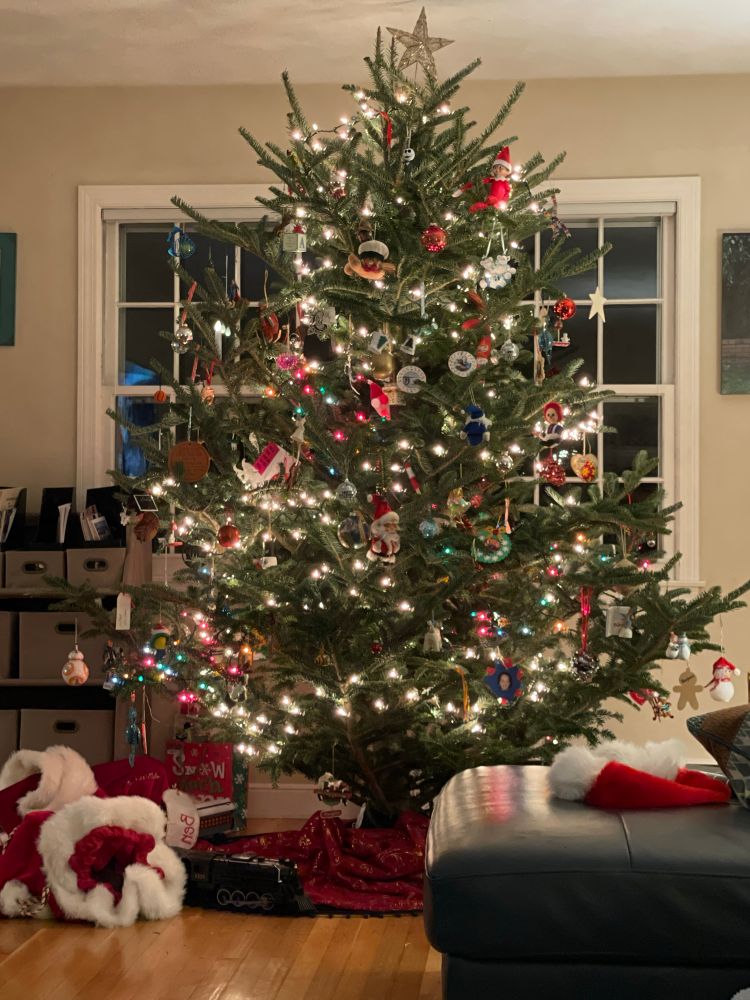 Our family Christmas tree