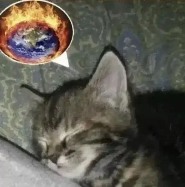 Photo of a sleeping kitten. A thought bubble edited on top shows the kitten dreaming of the earth on fire.