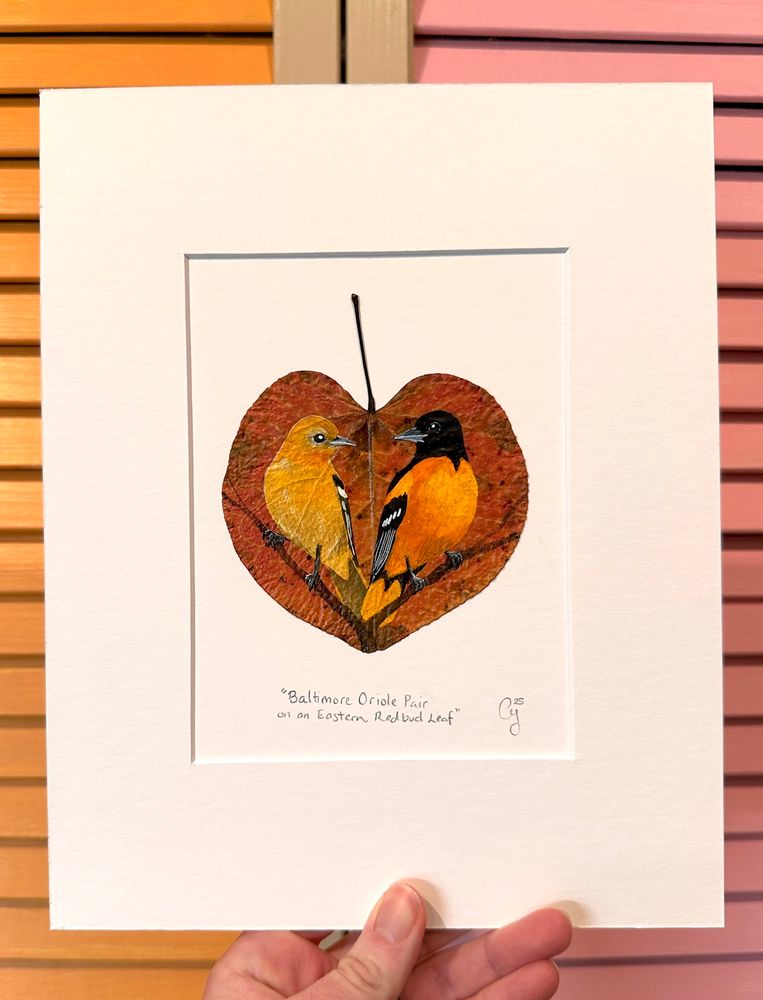A photo of a float mounted Eastern Redbud leaf with a painting of a pair of Baltimore Orioles perched looking towards each other. Behind the mat is a slatted door with orange on one side and pink on the other. 