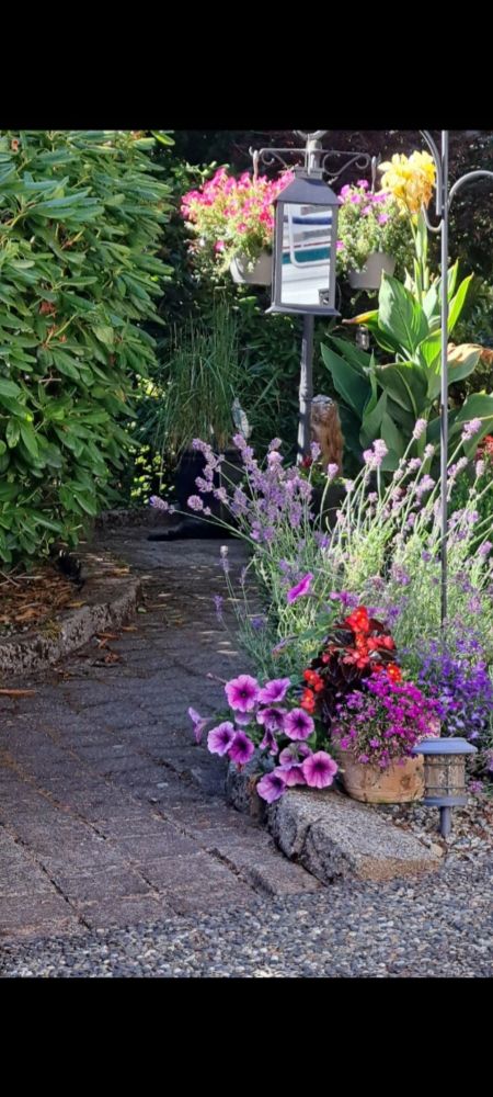Courtyard and garden 