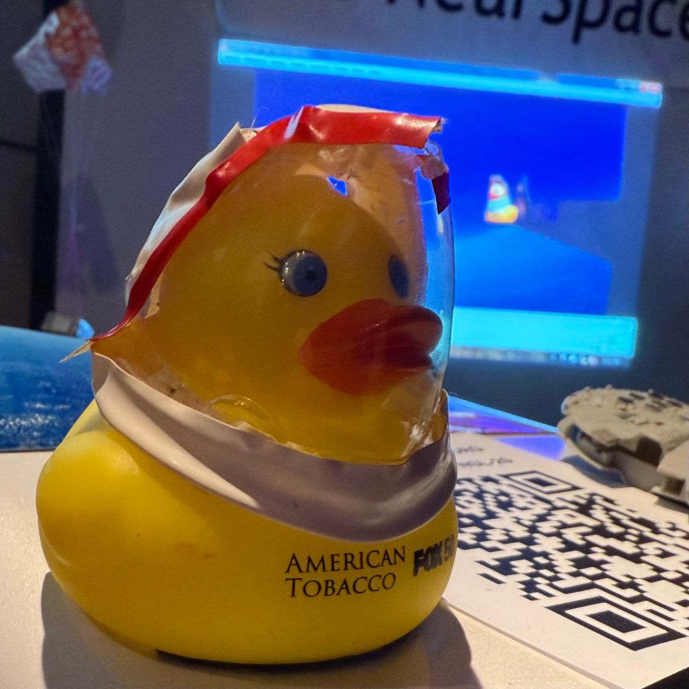 Our original Duckstronaut, with video of it "in space" in the background 