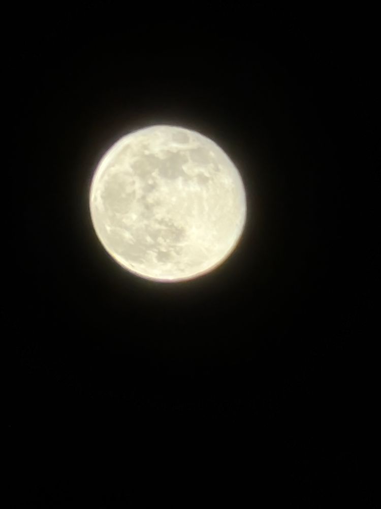 The nearly full moon