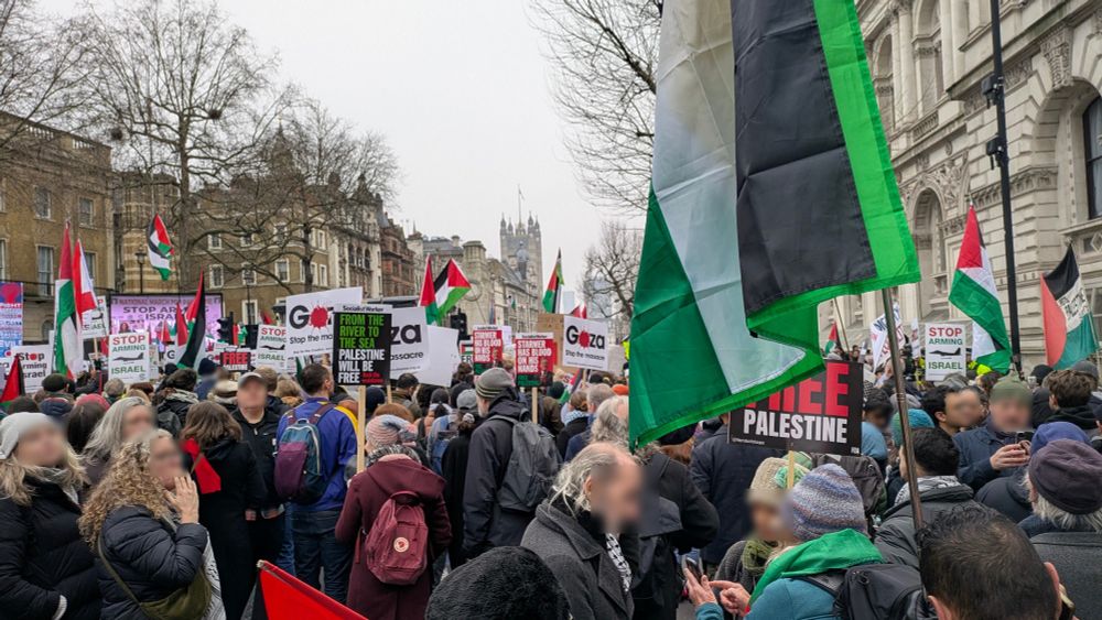 Thousands of people at a Palestine protest, many holding placards. 