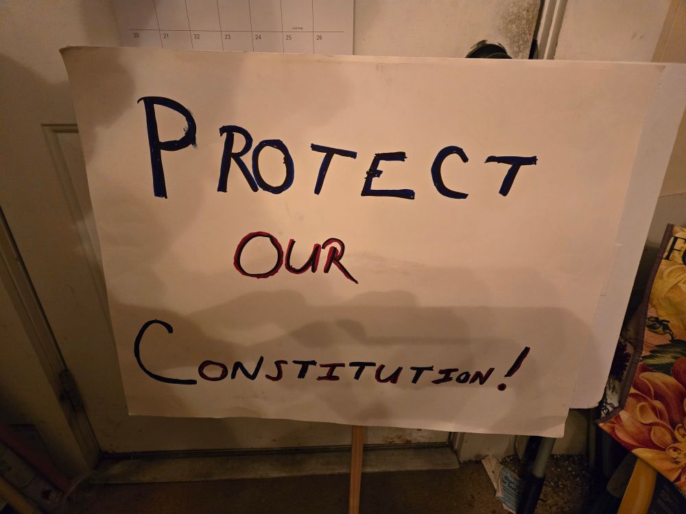 Posterboard glued to the foam board glued to the other side of the dowel. Sign reads "Protect Our Constitution"