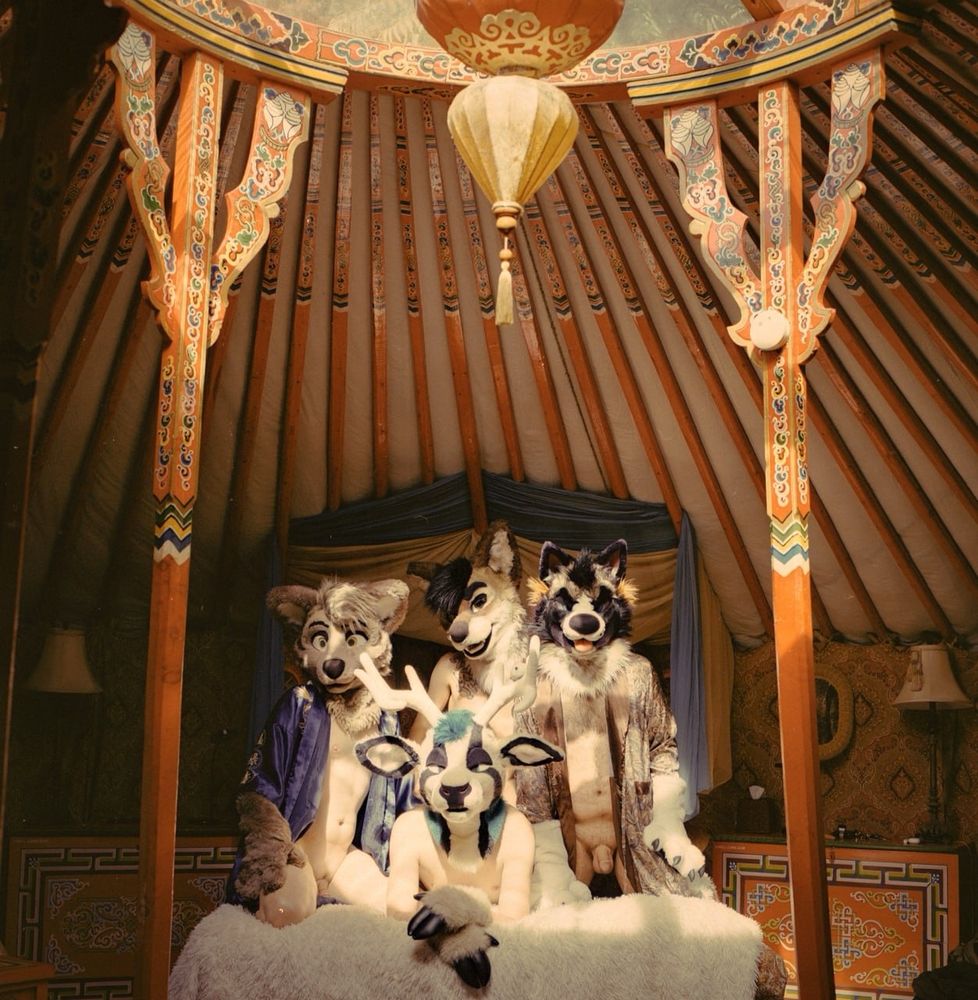 A 6x6 film photograph taken of a group of semi-naked fursuiters on a bed in a Mongolian style yurt.