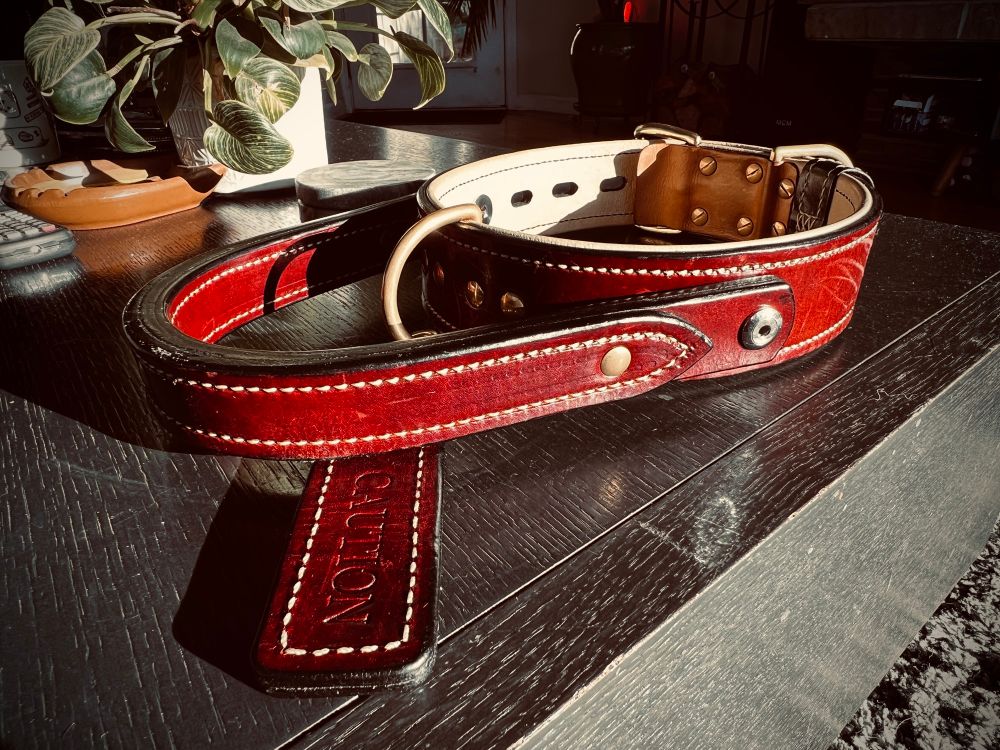 A picture of a large leather collar on a coffee table. The collar is made of brown burgundy leather with a cream lining and brass hardware. It has a large handle on it, and a tag that reads “CAUTION.”