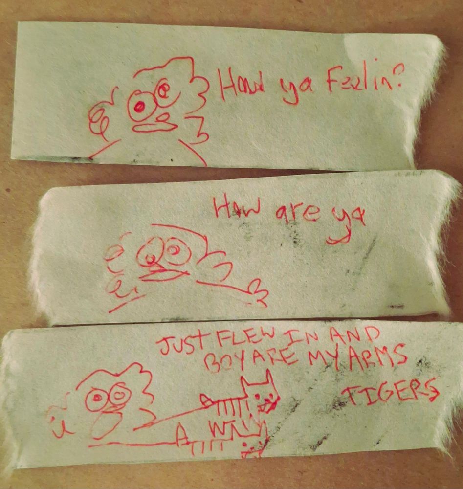 A 3 panel comic on several torn strips of paper. I stand and address the reader.
"How ya feelin? How are ya"
I hold out my arms, which now resemble tigers.
"Just flew in and boy are my arms tigers"