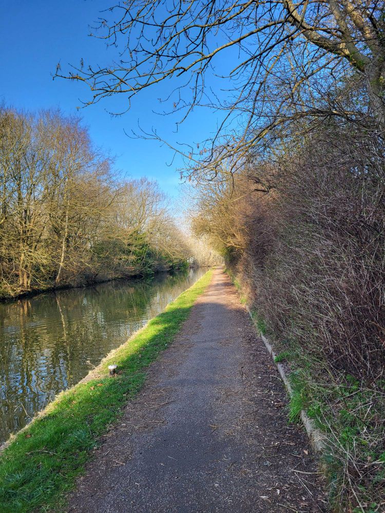 A canal and towpath in Wolverhampton on a beautiful spring morning. The overhanging trees are starting to bud. The sky is bright blue. 