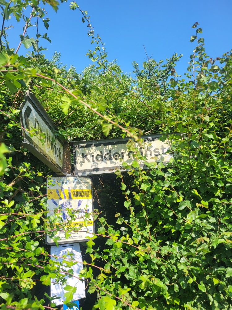 A roadside fingerpost in Worcestershire, UK. It is disappearing into an overgrown hedgerow and is discoloured by green algae. In one direction it shows Droitwich and to the right is pointing towards Kidderminster. 