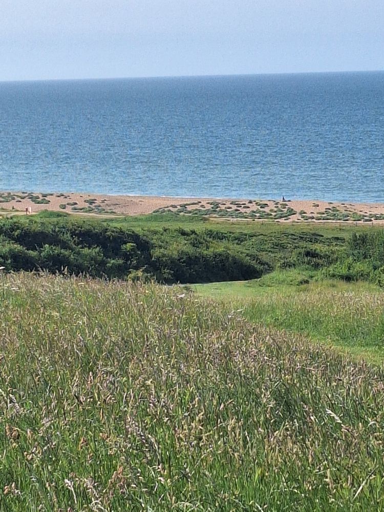 Sandy beach and the sea 