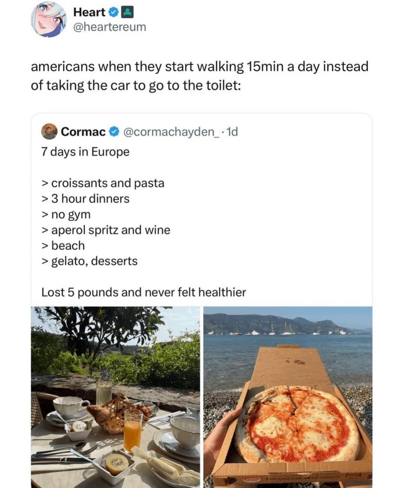 imagine showing screenshot of a tweet from someone talking about how much they ate and drank on their trip to Europe and how they managed to lose weight.  The quote tweet says “Americans when they start walking 15mins a day instead of taking the car to go to the toilet” 