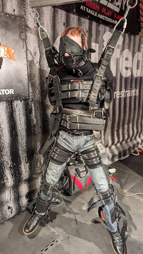 suspended in a leather harness