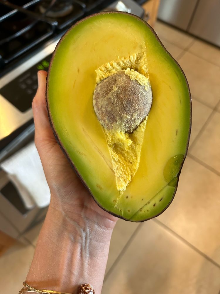 Winning the avocado lottery!  A HUGE avocado, substantially bigger than my wife’s hand, ripe and buttery, with a tiny pit. 