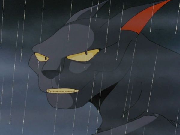 selena: there's nothing for you here
tygrus: there's nothing for me anywhere