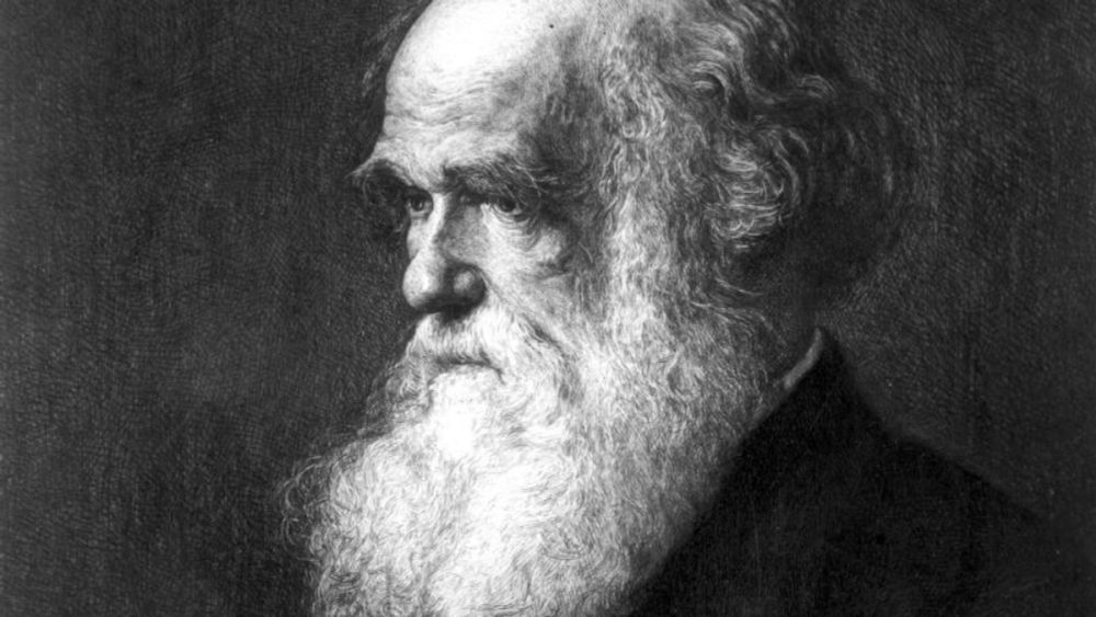 Researchers reveal lost library of Charles Darwin for the first time | CNN