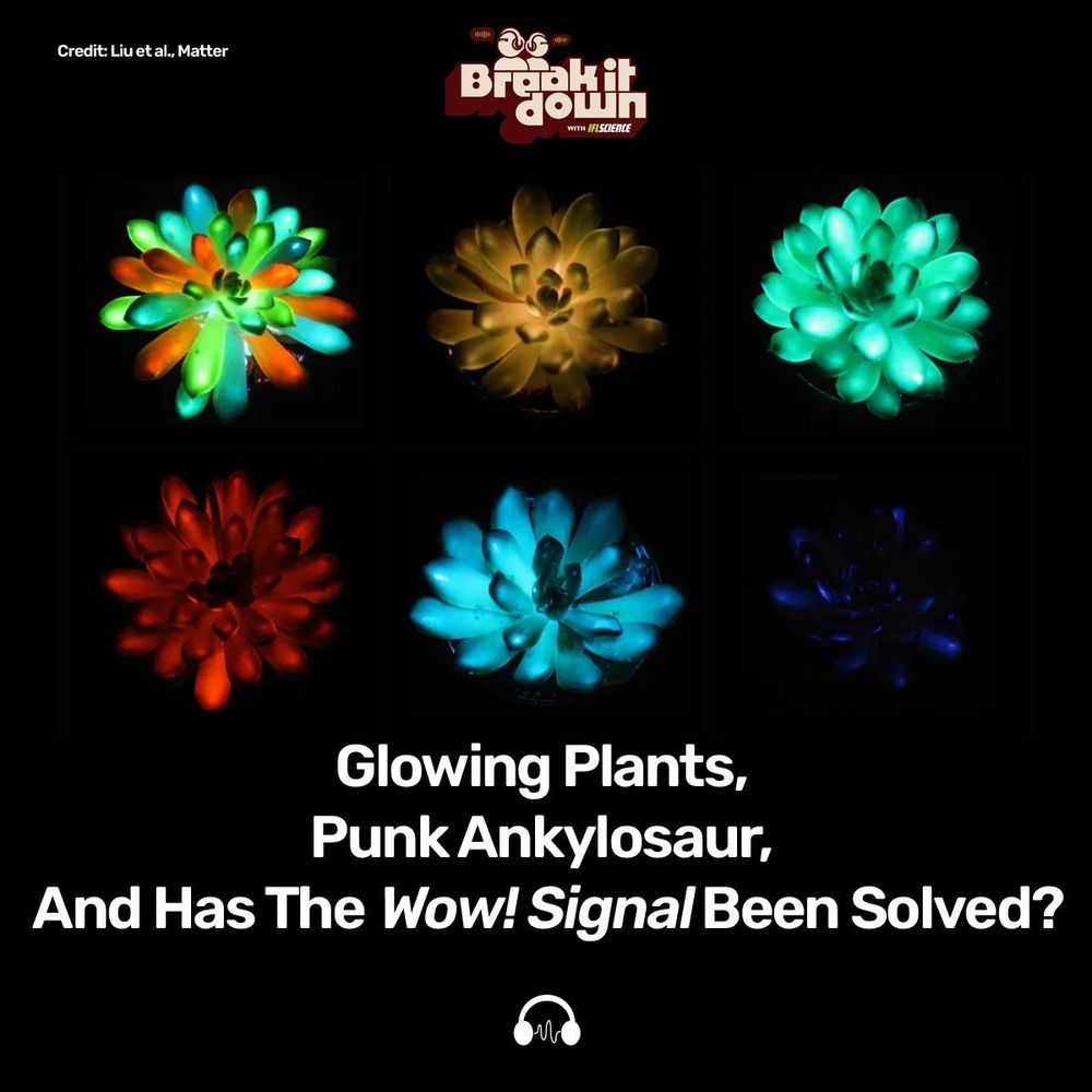Glowing Plants, Punk Ankylosaur, And Has The Wow! Signal Been Solved?
