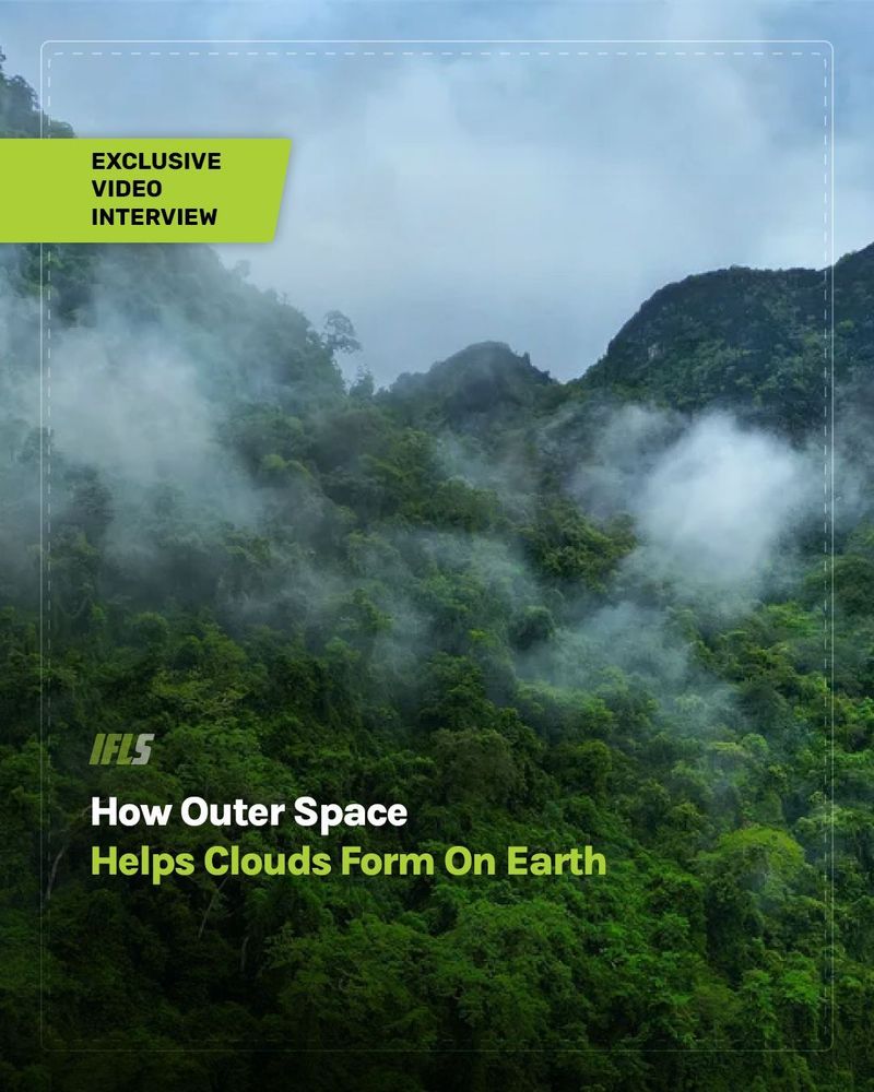 Exclusive Video Interview: How Outer Space Helps Clouds Form On Earth 