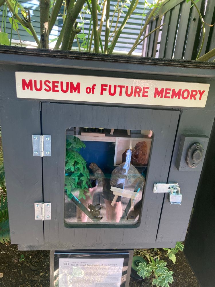 museum of future memory
a diorama about ginkgo trees
