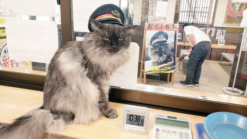 A cat sitting inside a railway station booth wearing a station master's hat