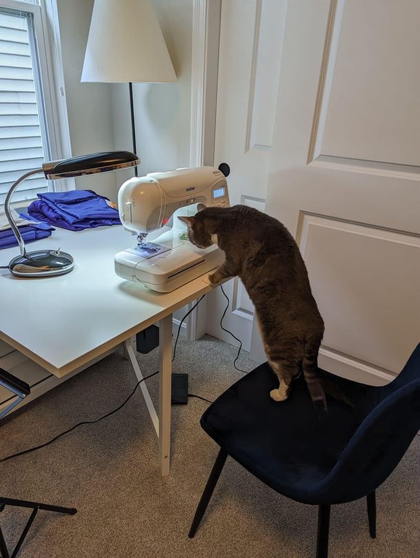 A cat standing at a sewing machine.
