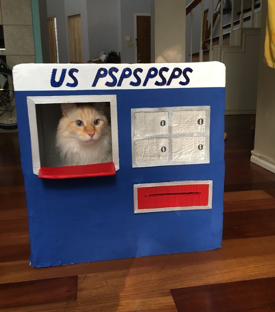 A fluffy cat inside a box designed to look like a US postal service post office.