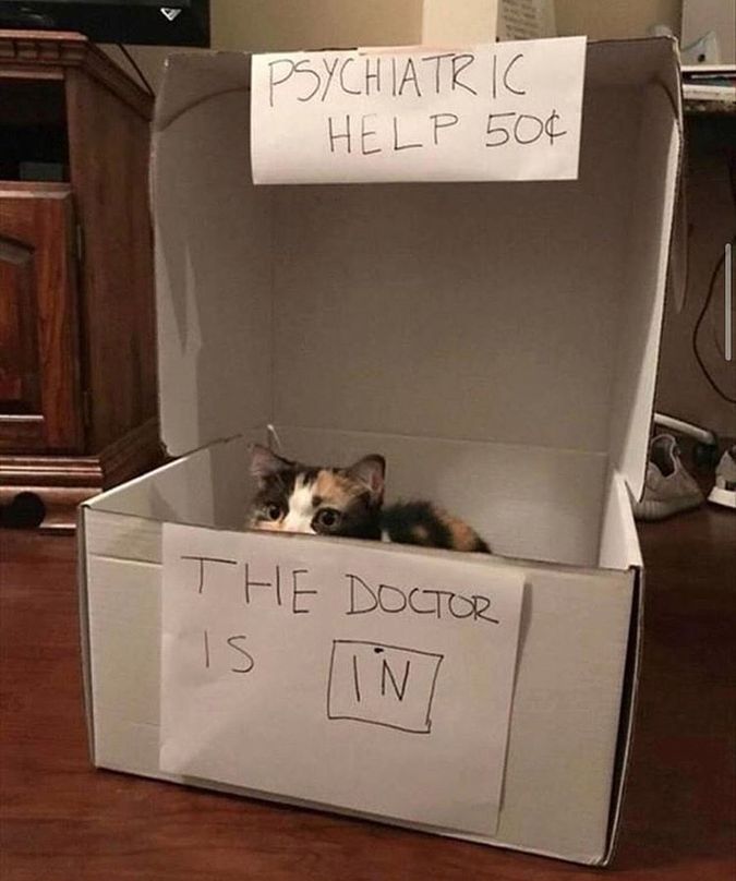 A calico cat inside a cardboard box decorated to look like the psychiatric help booth from Peanuts.