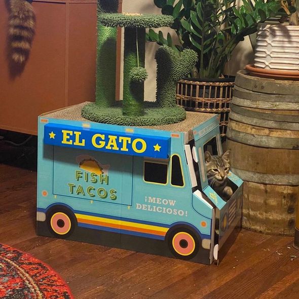 A cat riding in a cardboard cat house shaped like a taco van.