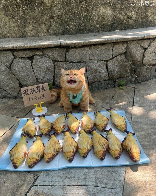 A ginger cat with a market stall set up, selling toy fish lined up in two rows.