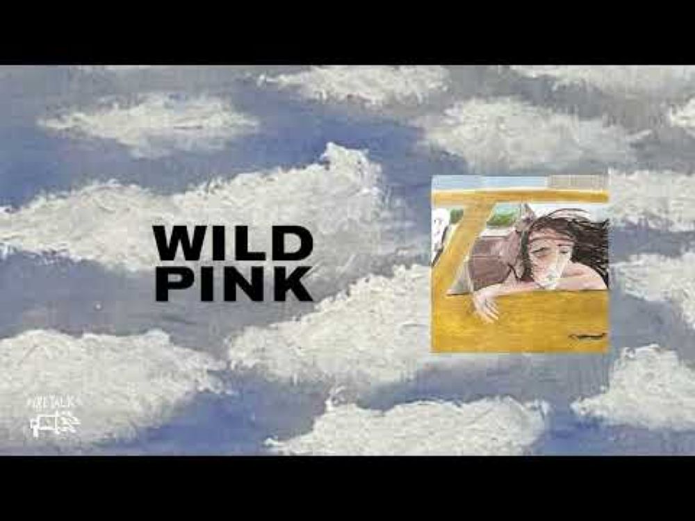 Wild Pink - Catholic Dracula (Official Audio)