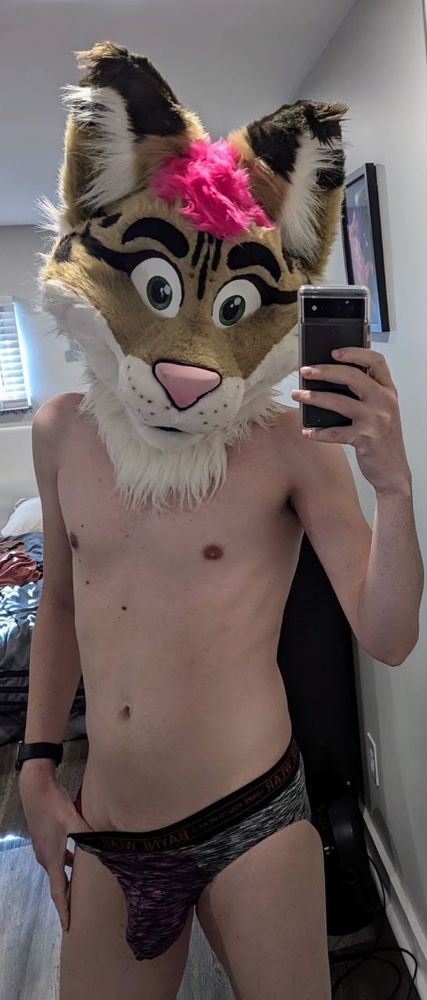 Lynx partial suiter in undies