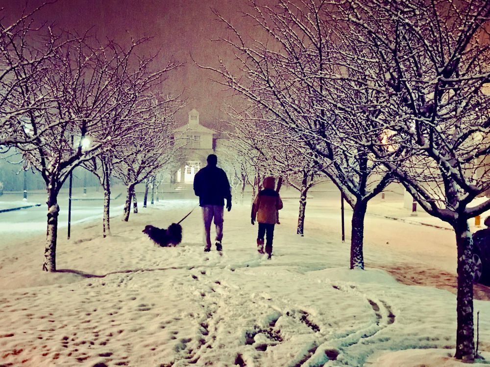 Grandpa with grandchild and Franklin the dog, walking in the snow.
