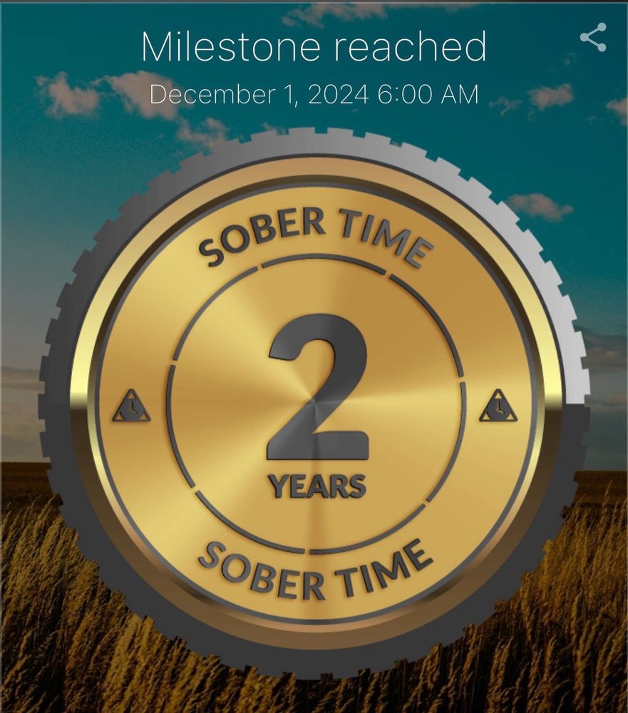 2 year sober chip